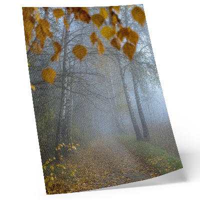 Poster decorativo Floresta de outono enevoada, bétulas, folhas amarelas