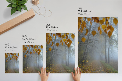 Poster decorativo Floresta de outono enevoada, bétulas, folhas amarelas