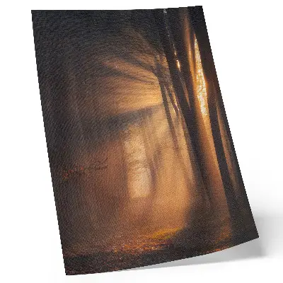 Impressão em tela luz mágica com árvores da floresta, raios de sol e paz
