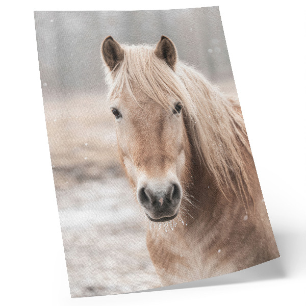 Poster decorativo Cavalo inverno cores suaves paz natureza