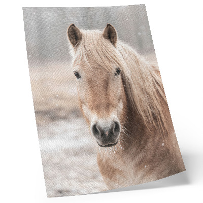 Poster decorativo Cavalo inverno cores suaves paz natureza