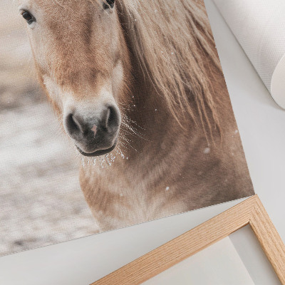 Poster decorativo Cavalo inverno cores suaves paz natureza
