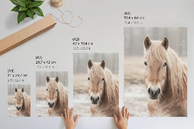 Poster decorativo Cavalo inverno cores suaves paz natureza