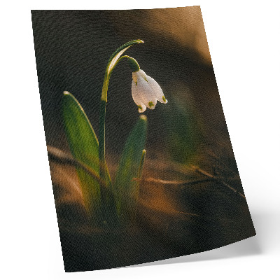 Poster decorativo Folhas verdes de campânulas, luz quente