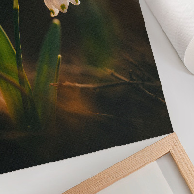 Poster decorativo Folhas verdes de campânulas, luz quente