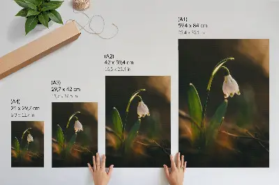 Pôster decorativo folhas verdes de campânulas com luz quente