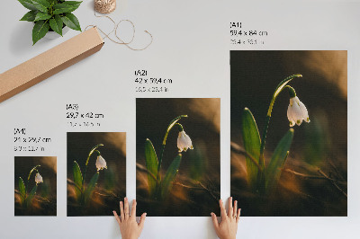 Poster decorativo Folhas verdes de campânulas, luz quente