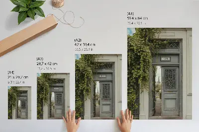 Poster para cozinha caminho misterioso de porta antiga com hera