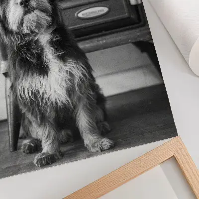 Arte de parede quadro de um cachorro preto e branco tranquilo próximo a um fogão antigo