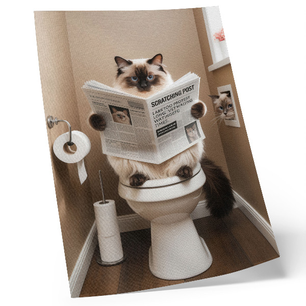 Impressão em tela Gato com jornal na parede bege, humor e aconchego