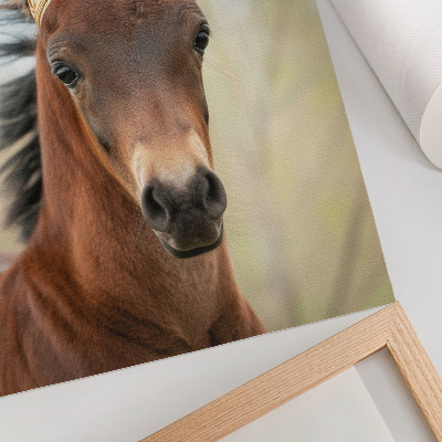 Poster decorativo Um cavalo com uma coroa contra um fundo neutro.