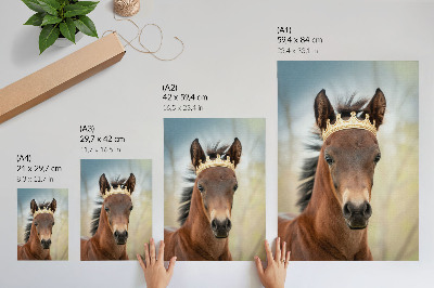 Poster decorativo Um cavalo com uma coroa contra um fundo neutro.