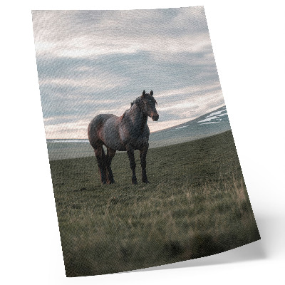 Poster para cozinha Cavalo no prado, nuvens, manhã, harmonia da natureza