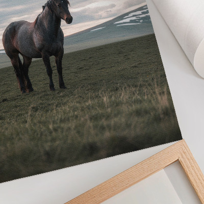 Poster para cozinha Cavalo no prado, nuvens, manhã, harmonia da natureza