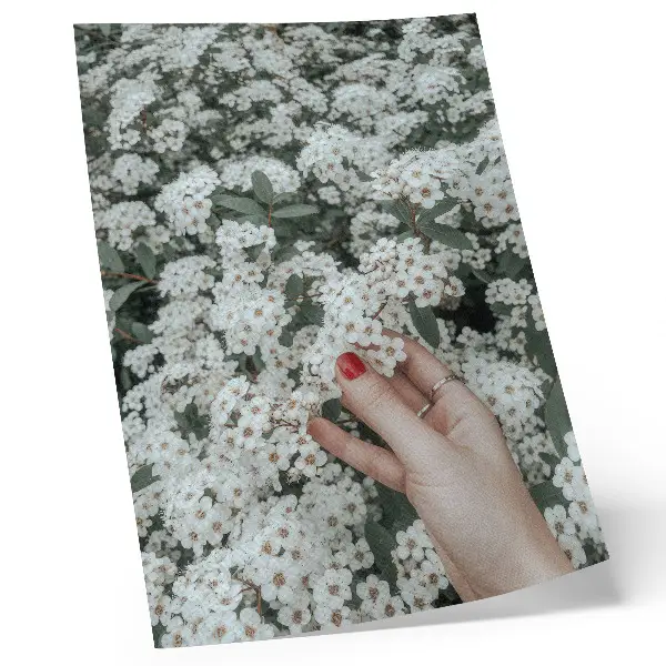 Arte de parede flores brancas com mão de unhas vermelhas