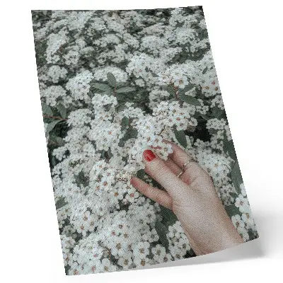 Arte de parede flores brancas com mão de unhas vermelhas