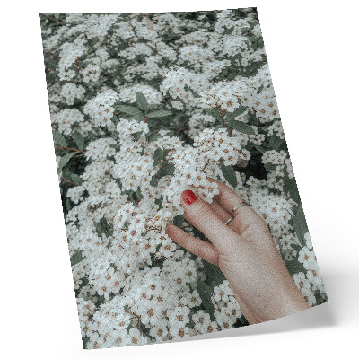 Arte de parede Flores brancas, mão verde, unhas vermelhas