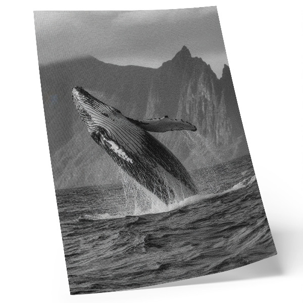 Poster para cozinha Uma foto de uma baleia saltando com montanhas ao fundo.