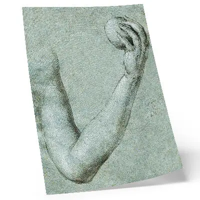 Poster decorativo obra O Braço de Eva (1507) de Albrecht Dürer