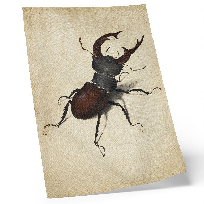 Impressão em tela O Besouro Cervo de Albrecht Dürer (1505)