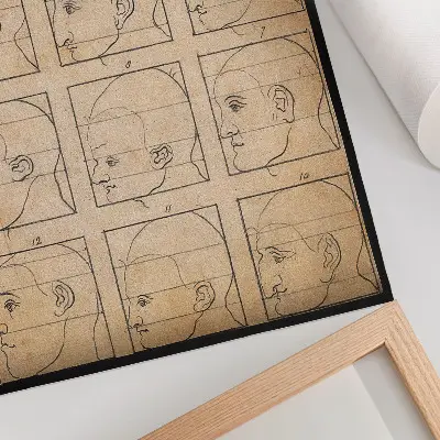 Impressão em tela doze perfis humanos em contorno baseados no desenho de Albert Dürer de 1794