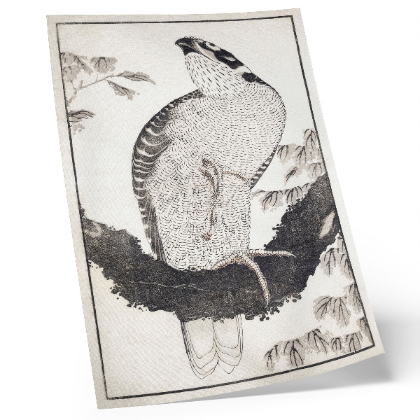 Poster decorativo Pássaro de Katsushika Hokusai, do Álbum de Esboços (1814), gravura japonesa vintage em madeira.