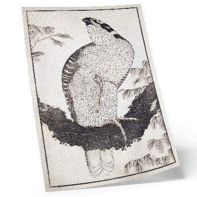 Poster decorativo Pássaro de Katsushika Hokusai, do Álbum de Esboços (1814), gravura japonesa vintage em madeira.