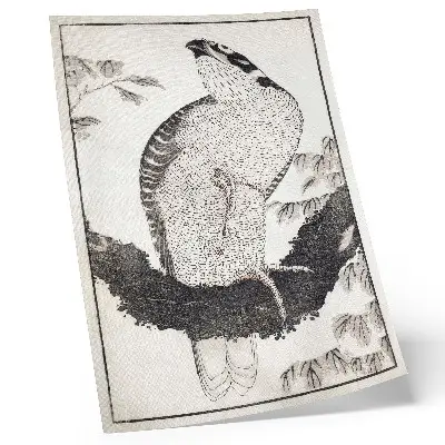 Poster decorativo pássaro de Katsushika Hokusai original do álbum de esboços de 1814 em gravura japonesa vintage