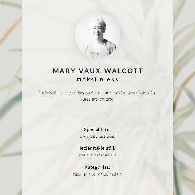 Impressão em tela Abacaxi Selvagem (Tillandsia fasciculata) (1921) por Mary Vaux Walcott