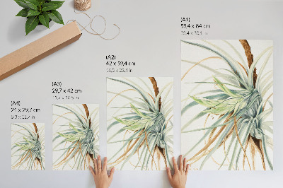 Impressão em tela Abacaxi Selvagem (Tillandsia fasciculata) (1921) por Mary Vaux Walcott