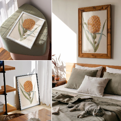 Poster decorativo Bromélia ananas Linn (c. 1700 - c. 1749) por um artista anônimo