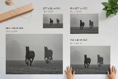 Poster em tela cavalos correndo com neblina suave em espaço tranquilo