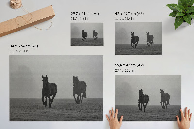 Poster em tela Cavalos correndo, neblina suave, espaço tranquilo