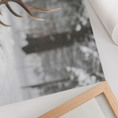 Poster em tela Chifres na neve, inverno, floresta, paz natural