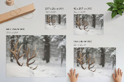 Poster em tela Chifres na neve, inverno, floresta, paz natural
