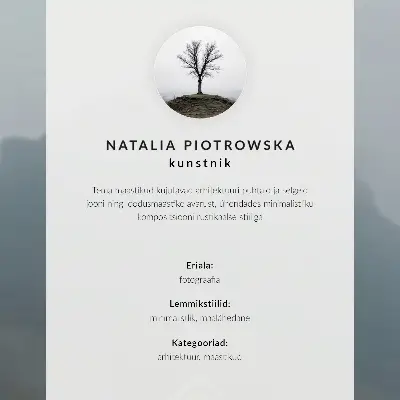 Poster para sala casa de inverno minimalista com neve ao fundo