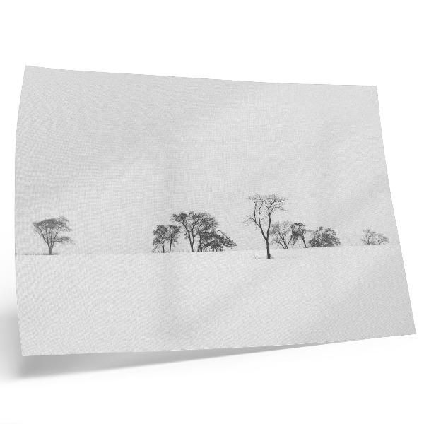 Poster mural Paisagem minimalista, árvores de inverno, paz