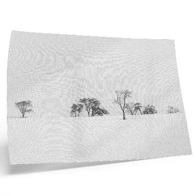 Poster mural Paisagem minimalista, árvores de inverno, paz
