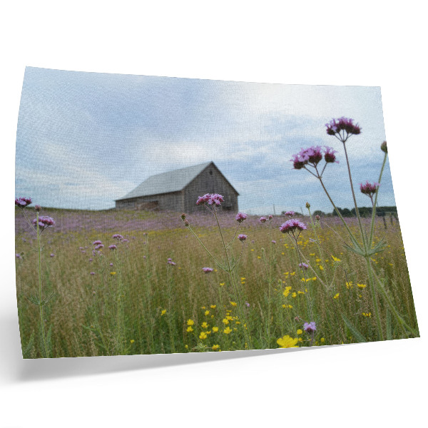 Poster em tela Celeiro rural, prado com flores roxas e amarelas