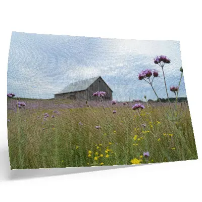 Poster em tela celeiro rural em prado com flores roxas e amarelas
