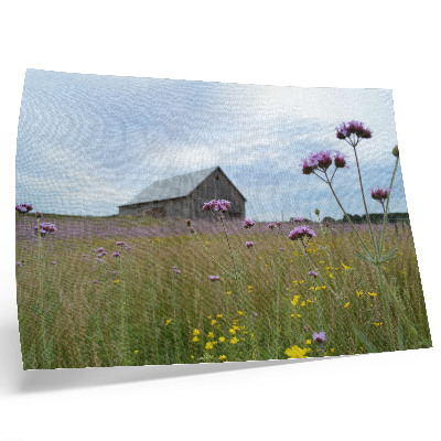 Poster em tela Celeiro rural, prado com flores roxas e amarelas