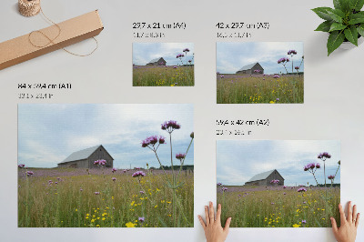 Poster em tela Celeiro rural, prado com flores roxas e amarelas