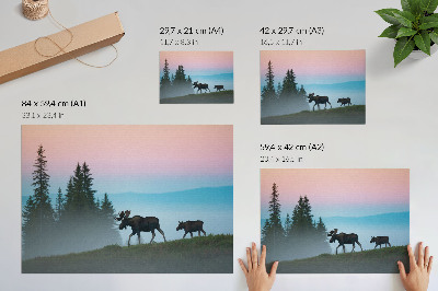 Poster para a sala Alce pela manhã, com neblina e árvores ao fundo.