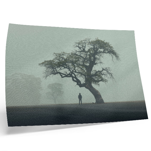 Poster árvore solitária, névoa, silhueta escura, atmosfera