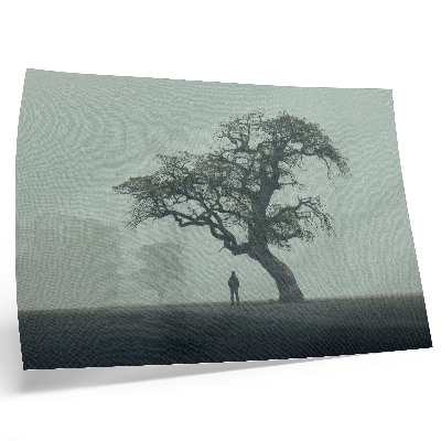 Poster árvore solitária, névoa, silhueta escura, atmosfera