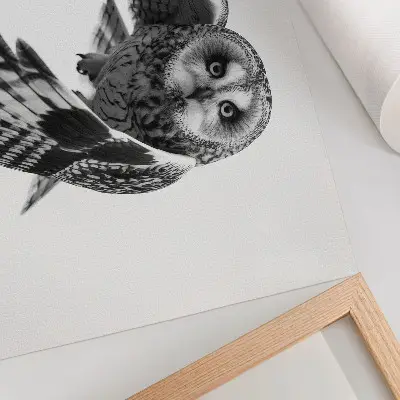 Pôster para sala retrato de uma coruja em voo com elegância singular e atmosfera pacífica