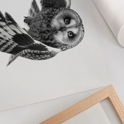 Poster para a sala Retrato de uma coruja em voo, elegância singular, atmosfera pacífica.