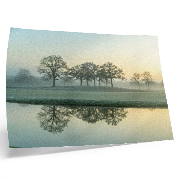 Poster em tela Superfície da água calma, reflexo das árvores, neblina suave