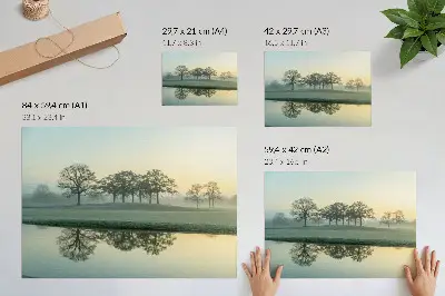 Poster em tela superfície da água calma com reflexo de árvores e neblina suave