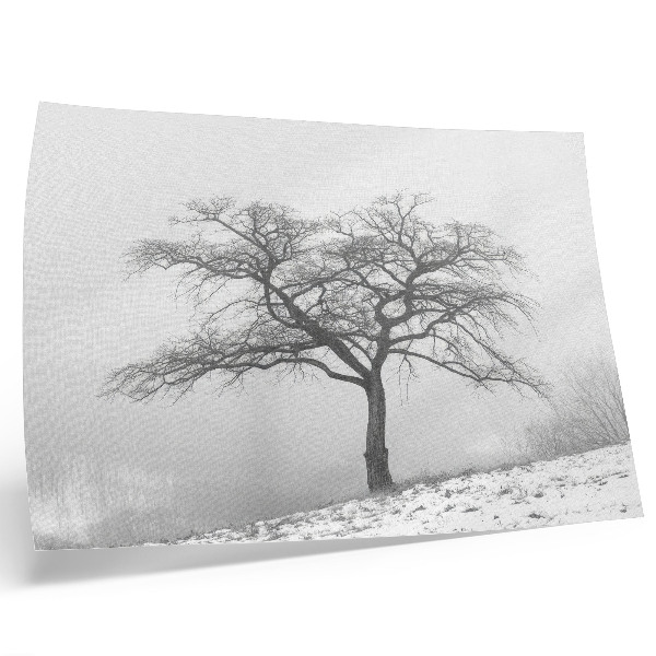 Poster para a sala Árvore solitária, inverno, paz, minimalismo, harmonia